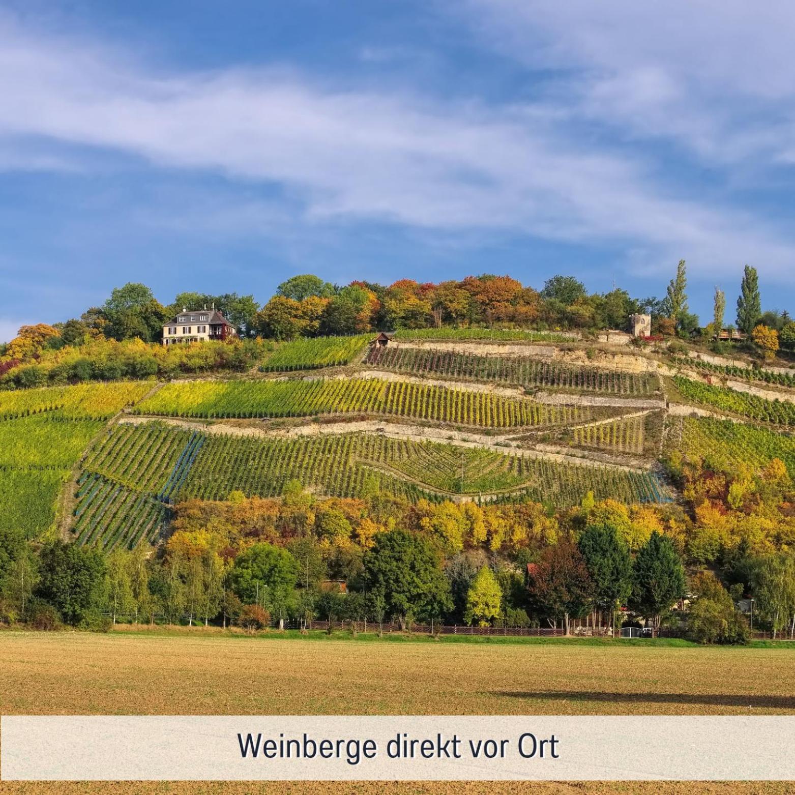 Apartmenthaus Schlag Naumburg  Kültér fotó